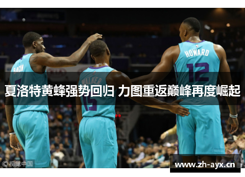 夏洛特黄蜂强势回归 力图重返巅峰再度崛起