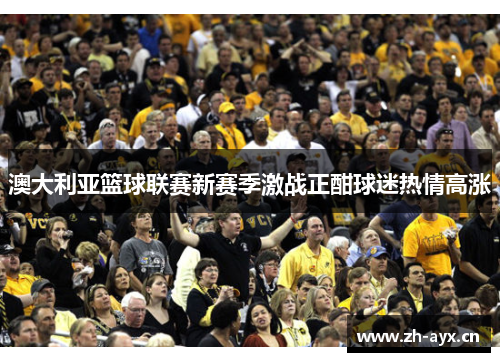 澳大利亚篮球联赛新赛季激战正酣球迷热情高涨